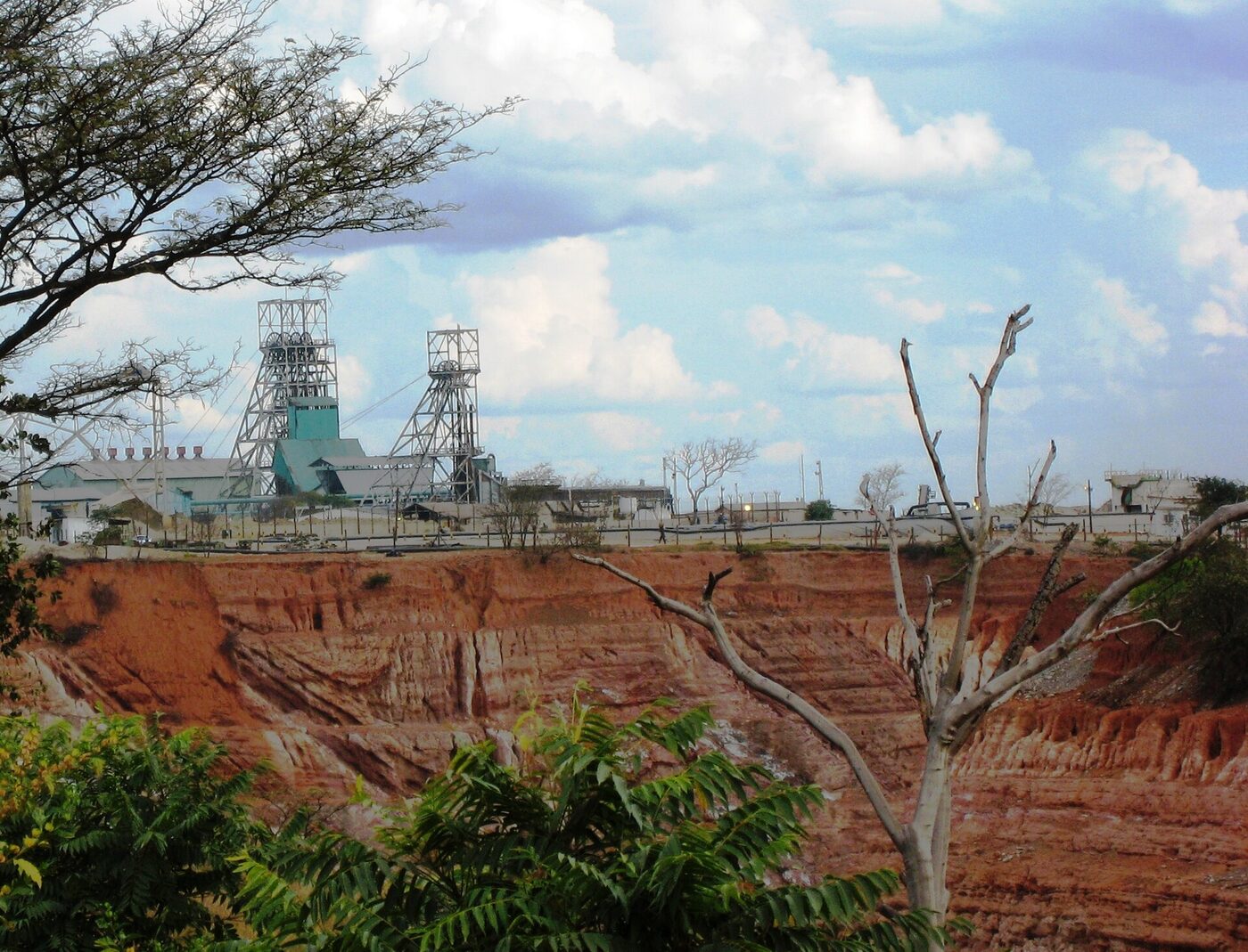 Two steel head-gear towers and low surface buildings at a copper mine, seen beyond the red terraced wall of an open pit, with scrub and a bare tree in the foreground.