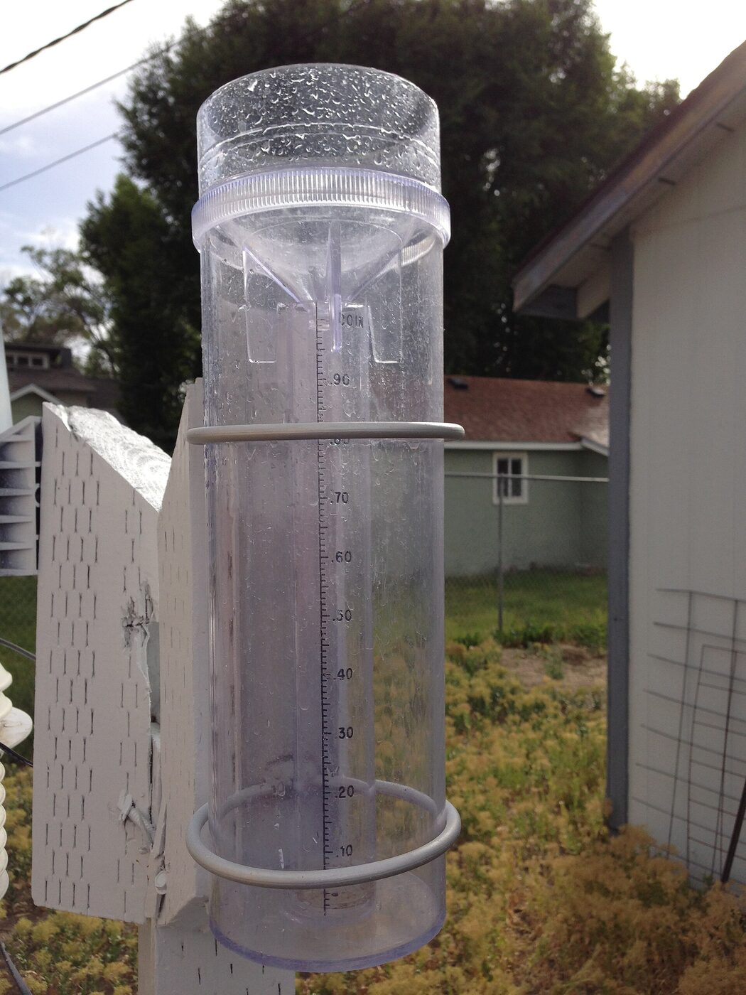 A tall clear plastic rain gauge mounted on a white post in a back garden, its inner measuring tube marked from .10 to 1.00 inch and held by two wire hoops, with a house and fence behind.