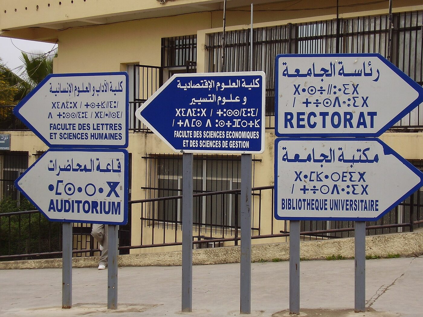 Five blue-and-white arrow-shaped direction signs on metal posts outside a university building, each carrying the same wording in Arabic script, in angular Tifinagh characters and in Latin-alphabet French.